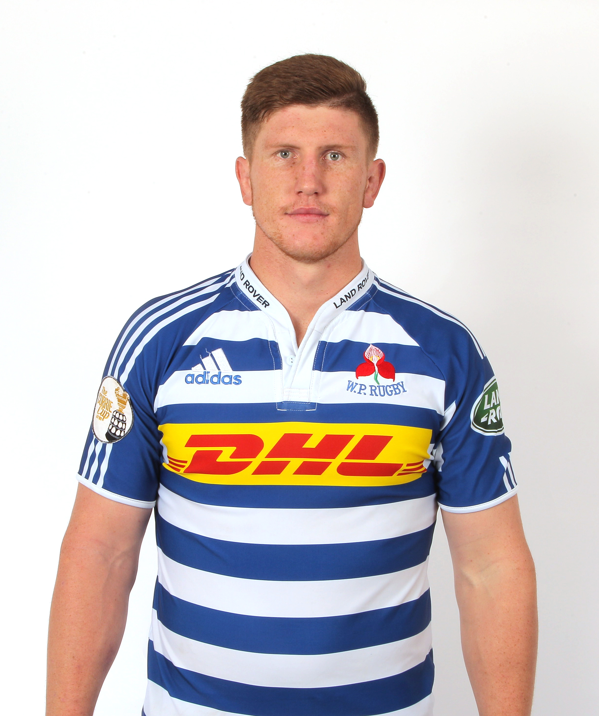 wp rugby jersey